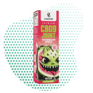 CBG9_joint_watermelon_mojito.png CBG9 Joint Watermelon Mojito 50% 2g