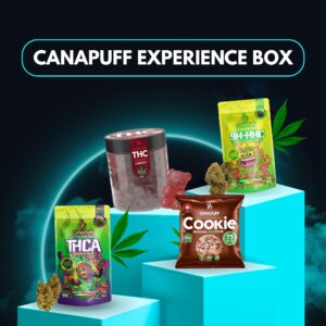 Canapuff Experience Box