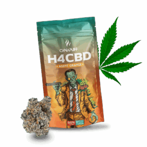 agnt_orng_h4cbd_720_5763c658-853e-4ffa-9b4c-80627b0a560a.png H4CBD Flowers Agent Orange 50%