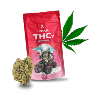 THCv Flowers Berry Gelato 50%