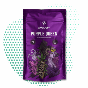 canapuff_hhc_flowers_purple_queen.png HHC Flowers Purple Queen 40%