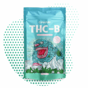 canapuff_thcb_flowers_kush_mintz.png THC-B Flowers Kush Mintz 50%