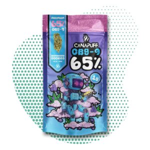 CBG9 Flowers Blueberry Cookie 65%