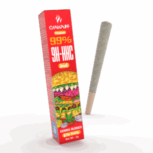 9H-HHC Joint Donny Burger 99%