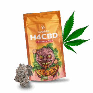 grgi_pie_h4cbd_720_11ac3e20-25e3-4d64-bdf7-8cb4accf2b21.png H4CBD Flowers Georgia Pie 50%