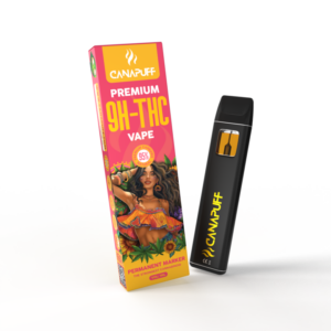 9H-THC Vape Permanent Marker 95% 1ml