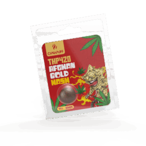 THP420 Hash Afghan Gold 99%